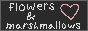 My website button